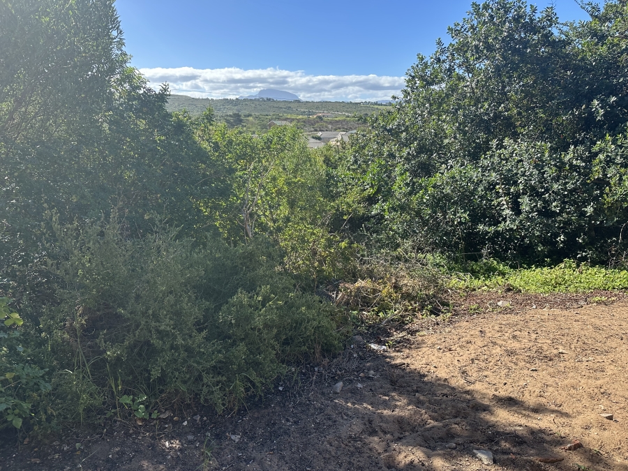 0 Bedroom Property for Sale in Tergniet Western Cape
